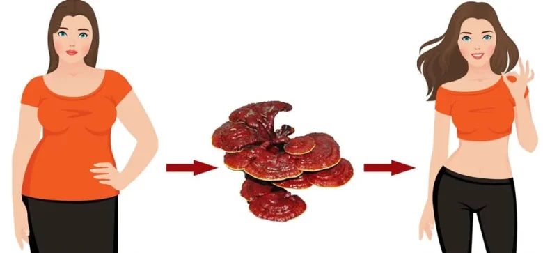 گانودرما