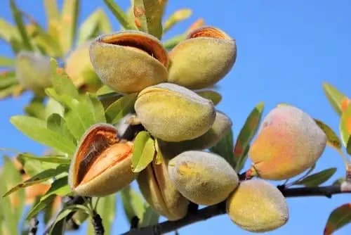 اقتصادی