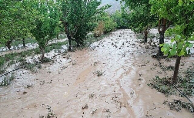 آبگرفتگی معابر، رانش و ریزش سنگ در مازندران