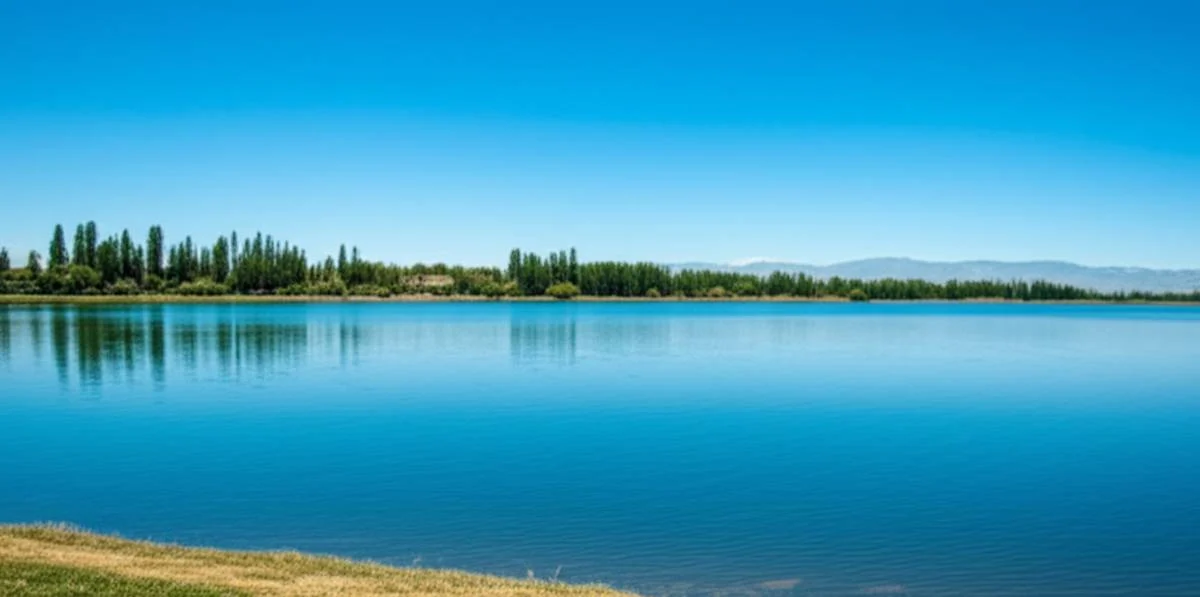 گردشگری و اقامتی