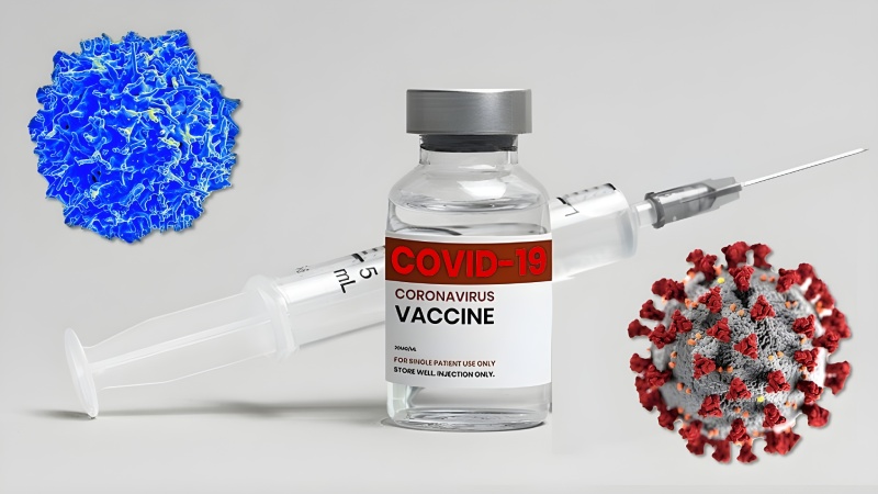 واکسن سالانه کووید و کاهش احتمال مرگ و بستری شدن: یافته های جدید