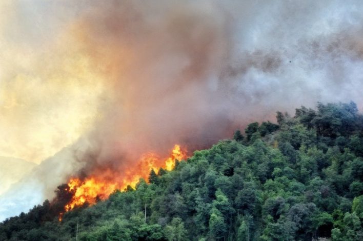 جنگل‌ های مازندران در وضعیت هشدار؛ ورود مسافران تا اطلاع بعدی ممنوع شد