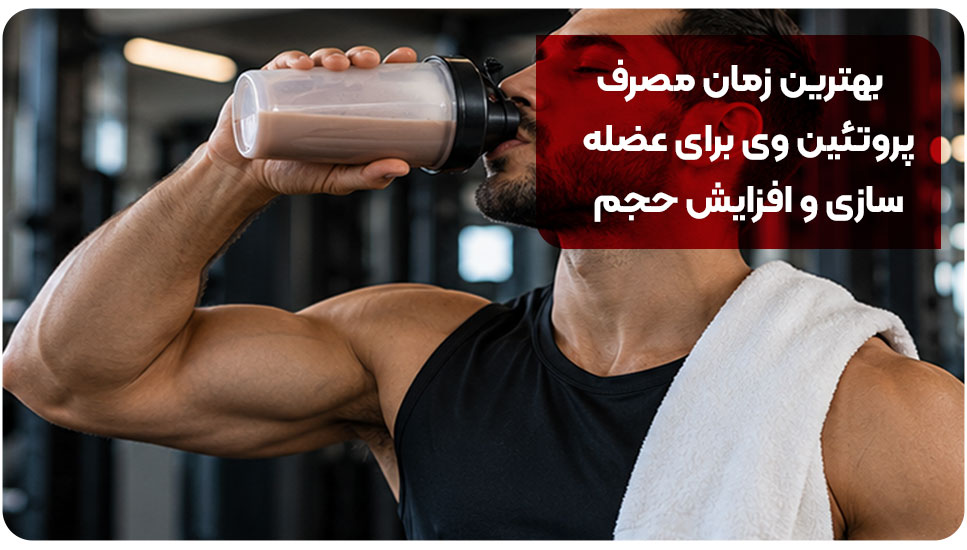 تغذیه |صبحانه تغذیه |صبحانه